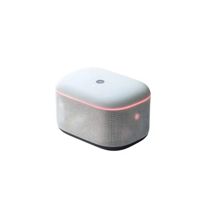 Amazon simple carry speaker